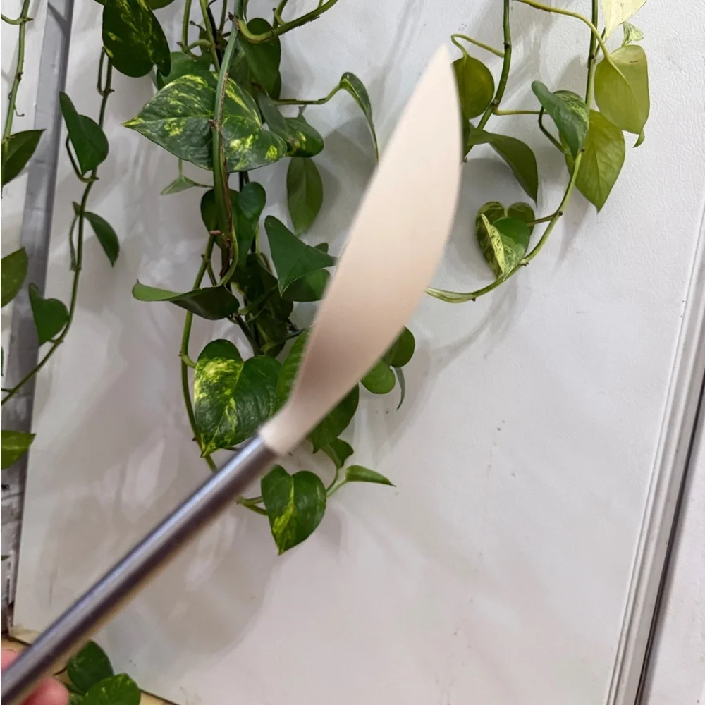 Elegant Silver and White Kitchen Spoon